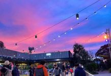 Lane Cove News Week in Review 13 to 20th July 2022