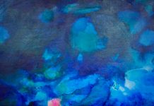 Two New Exhibitions at Gallery Lane Cove – Kirana Haag and Open Bite Printmakers & Southern Highlands Printmakers