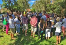 Liberal Councillors Notice of Motion will Impact Local Action Groups’ Ability to Speak at Lane Cove Council Meetings