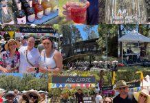 Lane Cove News Week in Review 2 November to 9 November 2022