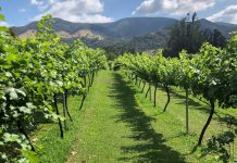 Meet the Ex Lane Cove Residents Who Are Now Mudgee Region Wine and Food Producers