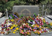 Lane Cove News Week in Review 9th to 16th November 2022