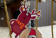 Lane Cove Mum Spreading Joy with Her Christmas Decoration Drop