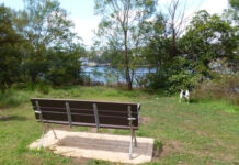 Memorial Bench Installed in Recognition of Greenwich Local Artist Hans Hallen