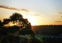 Lane Cove News Week in Review 1st February to 8th February 2023
