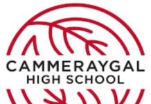 Girls, Study Economics at Cammeraygal High School
