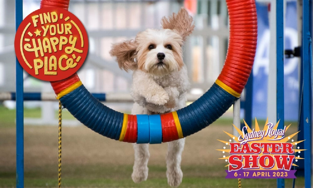 WINNERS ANNOUNCED Win A Family Pass to the Sydney Royal Easter Show