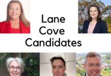 Top Five Priorities for Candidate in the Lane Cove Electorate