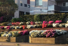 Lane Cove News Week in Review 13th to 20th September 2023