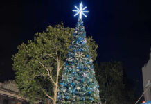 Christmas in Lane Cove – All You Need to Know