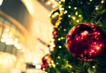 2024 Lane Cove Christmas Carols