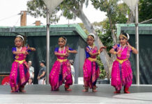 Lane Cove News Week 15th to 22nd November 2023