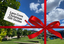 2023 Lane Cove Christmas Gift Guides