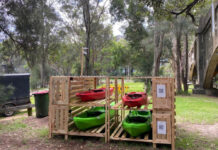 Lane Cove News Week in Review 17th to 24th January 2024