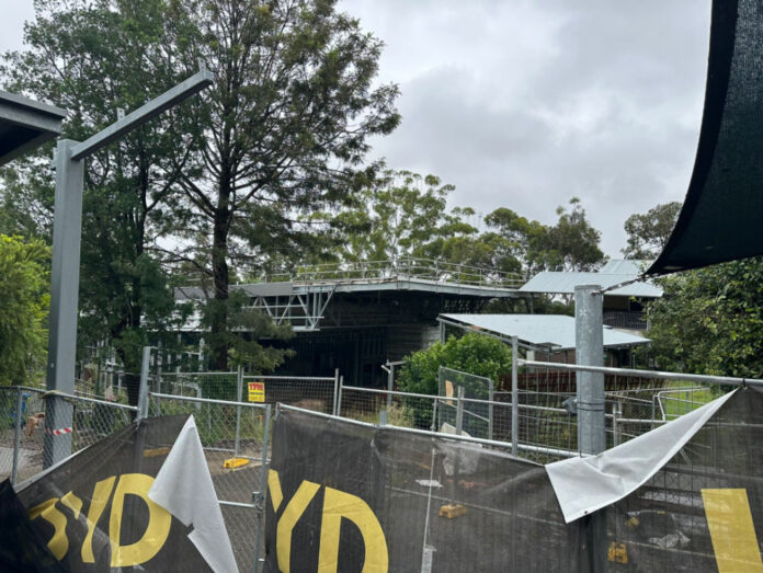 Screen Shot 2024-03-03 at 6.16.54 pm