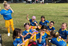 Lane Cove News Week in Review 10th to 16th April 2024