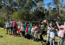 Bushcare Big Day Out – Free Family Friendly Event 7th September at Mindarie Park Lane Cove North