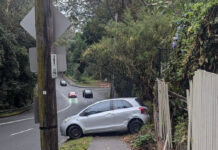 Lane Cove News Week in Review 27th November to 4th December 2024
