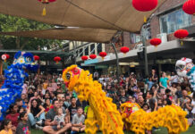 Lane Cove News Week in Review 29th January 2025 – 5th February 2025