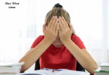 North Shore Councils Jointly Present a Webinar on School Refusal