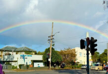 Lane Cove News Week in Review 30th April to 7th May 2025