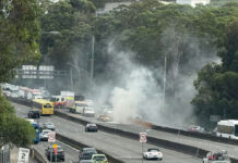 Lane Cove News Week in Review 14th May to 21st May 2025