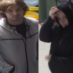 Police Lane Cove break ins