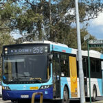 buses