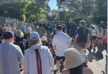 Lane Cove News Week in Review 10th to 17th September 2025