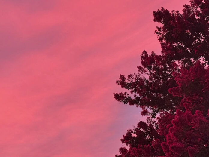 Screenshot 2025-09-26 at 4.05.55 pm