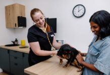 A Happy Start To The New Year For Your Pets