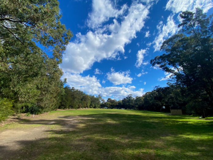 Burns Bay Reserve