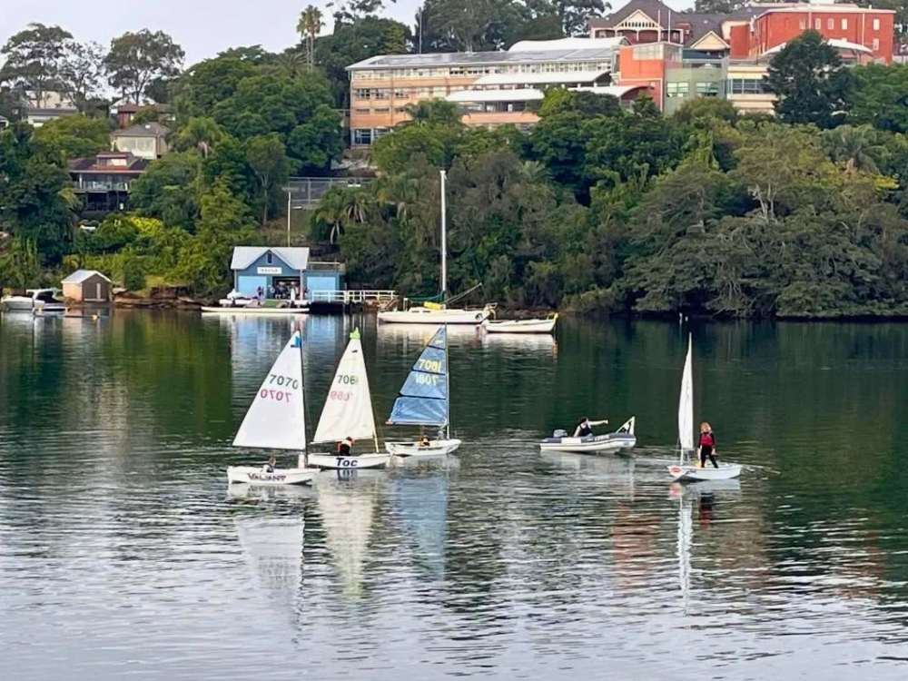 Lane Cove News Week in Review 5 – 12 May 2026