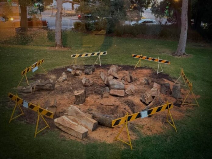 CENTRAL PARK SCULPTURE - REMOVED