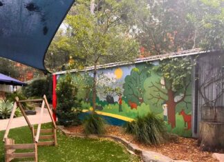 Pay Rises for Preschool Teachers: Parliament Backs What Local Families Already Know