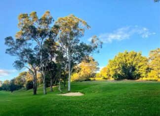 Vandals Damage Greens at Lane Cove Golf Course