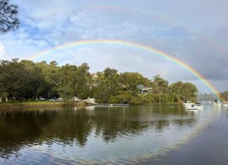 Lane Cove News Week In Review 23–29 June 2026