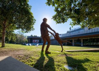 The Changing Face of Lane Cove – Our Deep Dive into Census Data