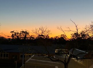 Lane Cove News Week in Review 5 August to 11 August 2026