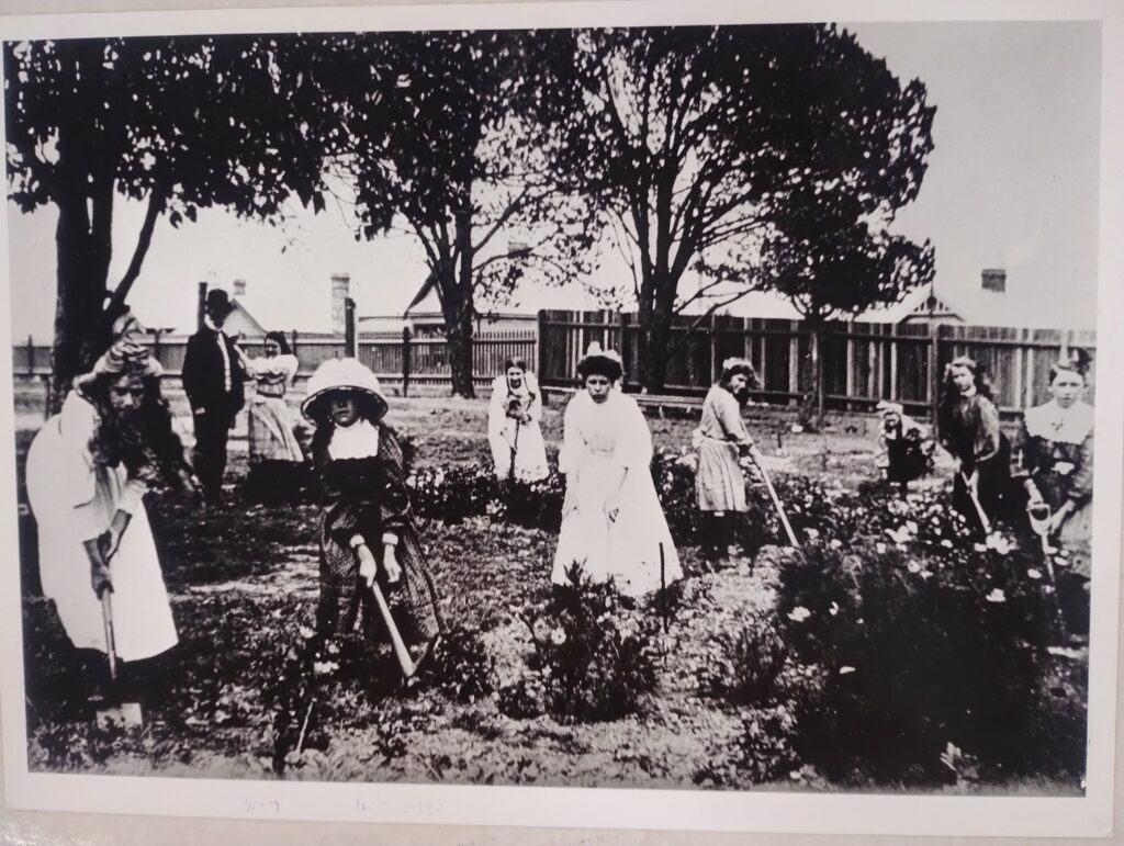 Greenwich Public School students gardening behind the school building facing Chisholm Street in 1910