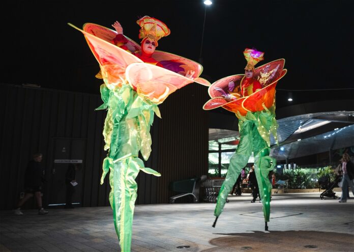 Lane-cove-fringe-2026-launch-night