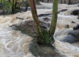 Up to 30 000 Lower North Shore Residents and Business Without Water – The Latest Update