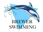 Brewer Swimming