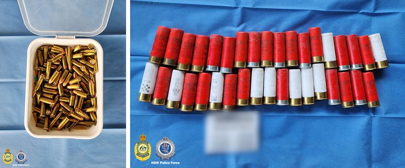 Plastic tub full of loose bullets, and two rows of red and white shotgun shells on a blue sheet